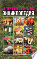 «Грибная энциклопедия» - ISBN: Не указан