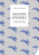«Полтора кролика. Несколько историй о странностях жизни» - ISBN: Не указан