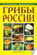 «Грибы России» - ISBN: Не указан