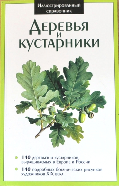 «Иллюстрированный справочник. Деревья и кустарники» - ISBN: 978-609-456-033-0