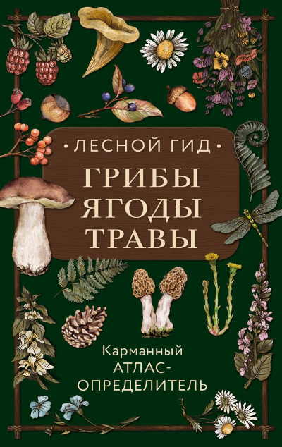 «Лесной гид. Грибы, ягоды, травы: карманный атлас-определитель» - ISBN: 978-5-699-99701-5