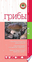 «Грибы» - ISBN: Не указан
