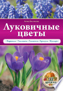 «Луковичные цветы» - ISBN: Не указан