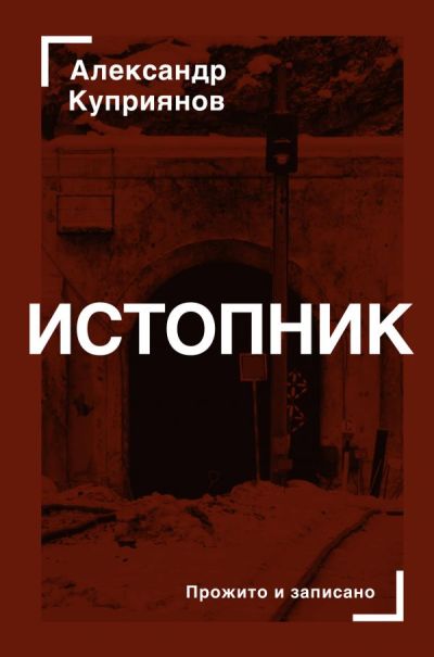 «Истопник. Кинороман с курсивом, хором и оркестром» - ISBN: 978-5-17-114256-8