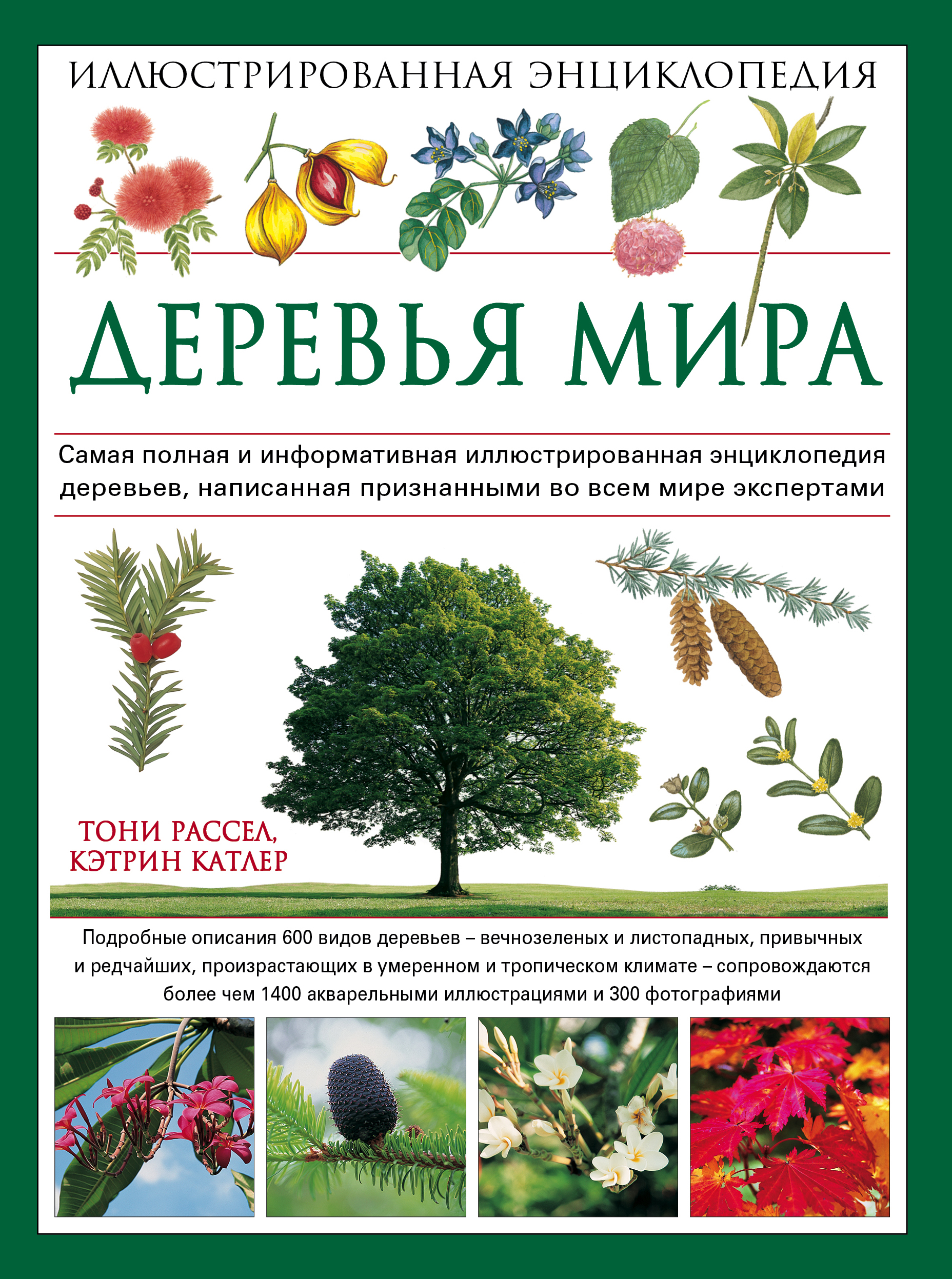 «Деревья мира. Иллюстрированная энциклопедия» - ISBN: 978-5-699-64235-9