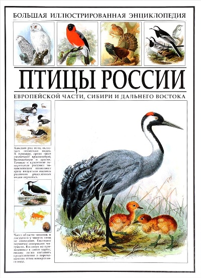 «Большая иллюстрированная энциклопедия. Птицы России» - ISBN: 978-5-9603-0377-4