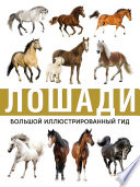 «Лошади» - ISBN: Не указан
