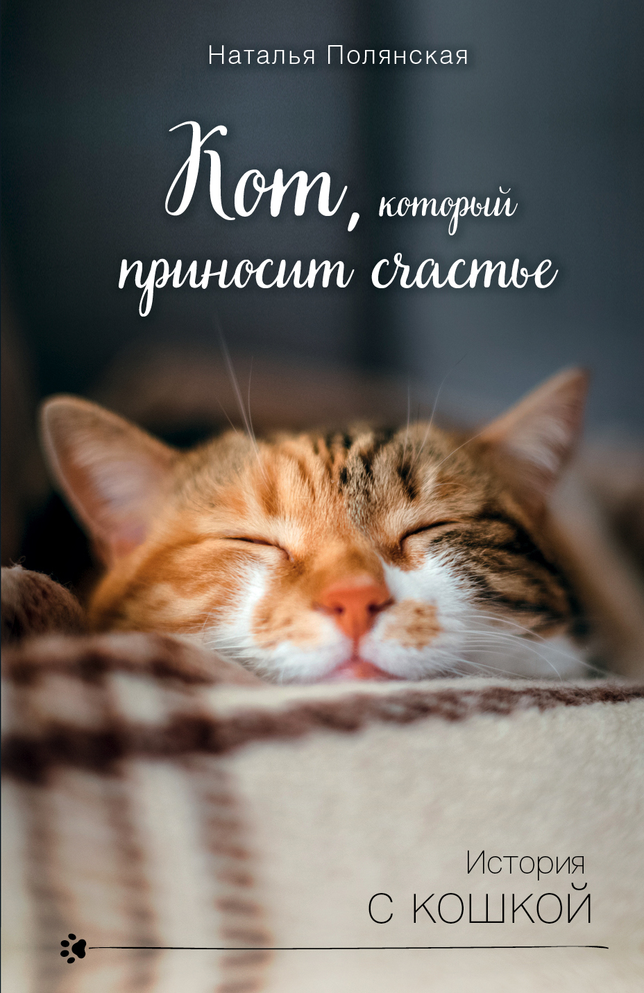 «Кот, который приносит счастье (м)» - ISBN: 978-5-04-153993-1