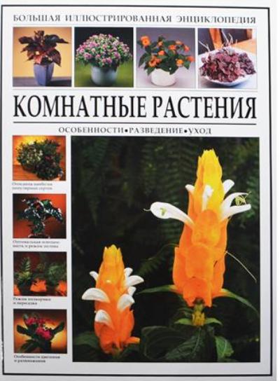 «Большая иллюстрированная энциклопедия. Комнатные растения» - ISBN: 978-5-9603-0344-6