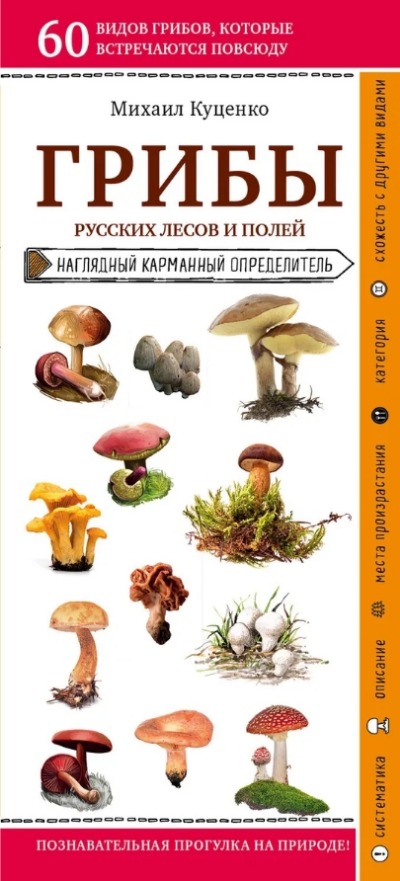 «Грибы русских лесов и полей» - ISBN: 978-5-04-111881-5