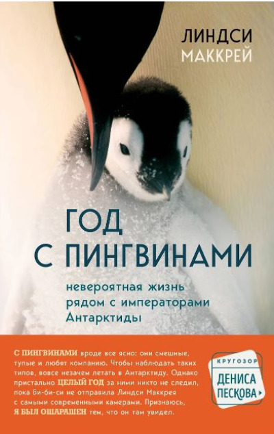 «Год с пингвинами. Невероятная жизнь рядом с 