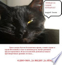 «Принцесса, сыщик и черный кот» - ISBN: Не указан