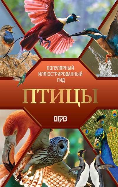 «Птицы. Иллюстрированный гид» - ISBN: 978-5-17-173864-8