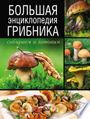 «Большая энциклопедия грибника. Собираем и готовим» - ISBN: 978-5-17-109725-7