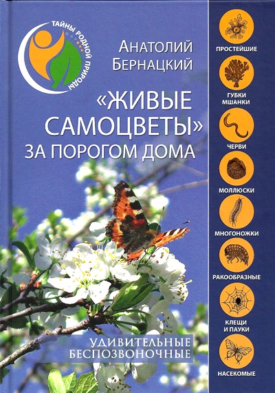 «Живые самоцветы за порогом дома. Удивительные беспозвоночные» - ISBN: 978-5-4484-0520-4