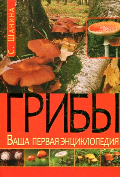 «Грибы. Ваша первая энциклопедия» - ISBN: 978-5-95670-763-0