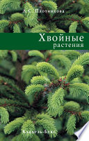 «Хвойные растения» - ISBN: Не указан