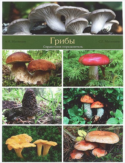 «Грибы: Справочник- определитель» - ISBN: 978-5-222-21634-7