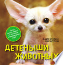 «Детеныши животных» - ISBN: Не указан
