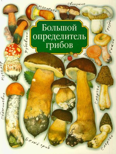 «Большой определитель грибов (м)» - ISBN: 978-5-17-039536-1