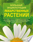 «Большая энциклопедия лекарственных растений» - ISBN: Не указан