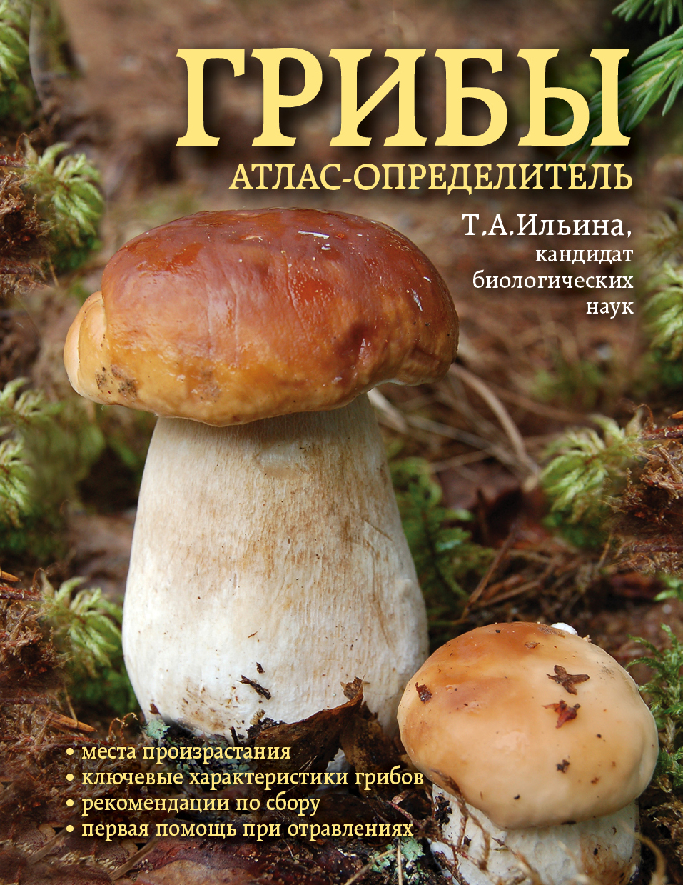 «Грибы. Атлас-определитель» - ISBN: 978-5-699-56836-9