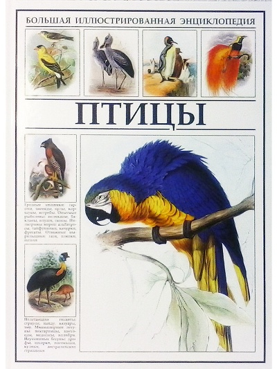 «Большая иллюстрированная энциклопедия. Птицы» - ISBN: 978-5-9603-0383-5